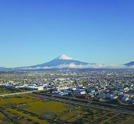 富士川緑地 自由広場